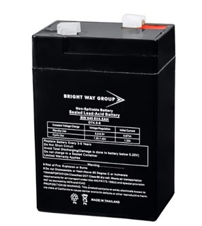 6 Volt - 4.5 Ah - AGM Battery F1 Terminal - Sealed AGM - Bright Way Group BW645F1